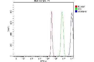 Flow Cytometry analysis of C6 cells using anti-HnRNP H/HNRNPH1 antibody (ABIN4886623). (HNRNPH1 抗体  (N-Term))