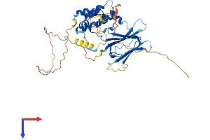 AlphaFold protein structure predicition of Human Recombinant TMEM183A Protein, UniprotID Q8IXX5