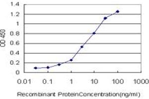 Detection limit for recombinant GST tagged ZNF259 is approximately 0. (ZNF259 抗体  (AA 361-459))