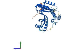 AlphaFold protein structure predicition of Mouse Recombinant Taco1 Protein, UniprotID Q8K0Z7 (TACO1 Protein (AA 1-294) (His tag))