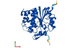 Protein Structure (PS) image for Nicotinamide N-Methyltransferase (NNMT) (AA 1-264) protein (His tag) (ABIN7562502)