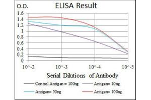 ELISA image for anti-Low Density Lipoprotein Receptor-Related Protein 5 (LRP5) antibody (ABIN1846200)