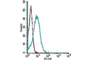 Flow Cytometry (FACS) image for anti-Solute Carrier Family 28 (Sodium-Coupled Nucleoside Transporter), Member 3 (SLC28A3) (AA 432-447), (Extracellular) antibody (ABIN7043709)
