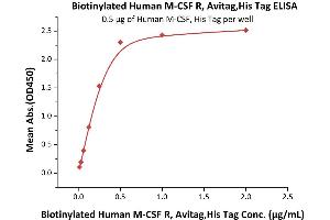 ELISA image for Colony Stimulating Factor 1 Receptor (CSF1R) (AA 20-512) (Active) protein (His tag,AVI tag,Biotin) (ABIN5674603)