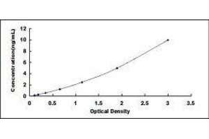 Dystrophin (DMD) ELISA Kit