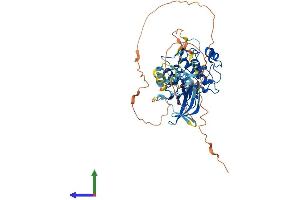 AlphaFold protein structure predicition of Mouse Recombinant Camkk1 Protein, UniprotID Q8VBY2 (CAMKK1 Protein (AA 1-505) (His tag))