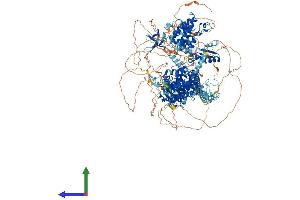 AlphaFold protein structure predicition of Human Recombinant BAZ1A Protein, UniprotID Q9NRL2 (BAZ1A Protein (AA 1-1556) (His tag))
