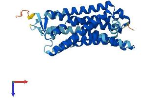 Olfactory Receptor, Family 2, Subfamily J, Member 1 (OR2J1) (AA 1-312) protein (His tag)