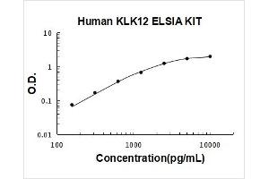 Kallikrein-Related Peptidase 12 (KLK12) ELISA Kit
