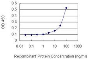 Detection limit for recombinant GST tagged MAT1A is 1 ng/ml as a capture antibody. (MAT1A 抗体  (AA 1-395))