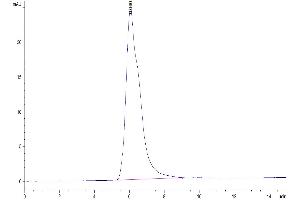 Size-exclusion chromatography-High Pressure Liquid Chromatography (SEC-HPLC) image for CD274 (PD-L1) (AA 19-238) protein (Fc Tag) (ABIN7275430)