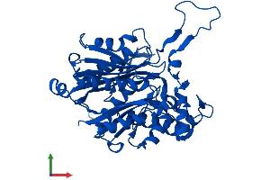 Protein Structure (PS) image for Acetyl-CoA Acyltransferase 2 (ACAA2) (AA 1-397) protein (His tag) (ABIN7558973)