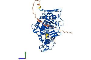 Protein Structure (PS) image for 3-Hydroxy-3-Methylglutaryl-CoA Synthase 1 (Soluble) (HMGCS1) (AA 1-520) protein (His tag) (ABIN7559393)
