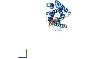 Protein Structure (PS) image for MAS-Related GPR, Member E (MRGPRE) (AA 1-310) protein (His tag) (ABIN7560134)