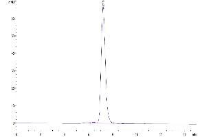Size-exclusion chromatography-High Pressure Liquid Chromatography (SEC-HPLC) image for Interferon gamma Receptor 1 (IFNGR1) (AA 18-245) protein (Fc Tag) (ABIN7274846)