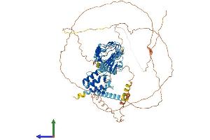 Protein Structure (PS) image for Leucine-Rich Repeats and Calponin Homology (CH) Domain Containing 1 (LRCH1) (AA 1-709) protein (His tag) (ABIN7556595)