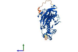 AlphaFold protein structure predicition of Mouse Recombinant Aasdhppt Protein, UniprotID Q9CQF6 (AASDHPPT Protein (AA 1-309) (His tag))