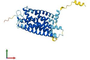 AlphaFold protein structure predicition of Mouse Recombinant Gpr171 Protein, UniprotID Q8BG55