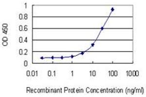 Detection limit for recombinant GST tagged ZNF444 is 1 ng/ml as a capture antibody. (ZNF444 抗体  (AA 38-133))