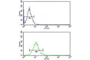 CD166 antibody flow cytometric analysis of NCI-H292 cells (green) compared to a negative control (blue). (CD166 抗体  (AA 58-87))