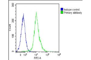 Flow Cytometry (FACS) image for anti-Activin A Receptor, Type IB (ACVR1B) (AA 39-68), (N-Term) antibody (ABIN392231)