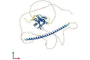 Protein Structure (PS) image for Nitric Oxide Synthase 1 (Neuronal) Adaptor Protein (NOS1AP) (AA 1-503) protein (His tag) (ABIN7560945)