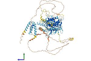 AlphaFold protein structure predicition of Mouse Recombinant Ints6l Protein, UniprotID Q8BND4