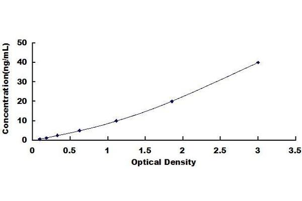 Surfactant Protein C ELISA 试剂盒