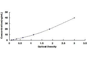 Typical standard curve (Surfactant Protein C ELISA 试剂盒)