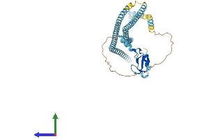 Protein Structure (PS) image for Ring Finger Protein 26 (RNF26) (AA 1-424) protein (His tag) (ABIN7558899)
