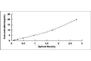 Typical standard curve (EN2 ELISA 试剂盒)