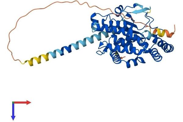 PTGES2 Protein (AA 1-377) (His tag)