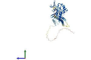 Protein Structure (PS) image for Septin 10 (SEPT10) (AA 1-454) protein (His tag) (ABIN7546075)