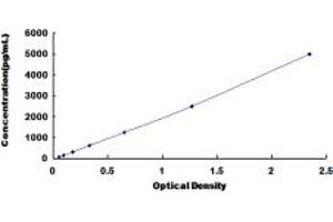 Typical standard curve (CCBL1 ELISA 试剂盒)