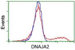 HEK293T cells transfected with either RC202204 overexpress plasmid (Red) or empty vector control plasmid (Blue) were immunostained by anti-DNAJA2 antibody (ABIN2452954), and then analyzed by flow cytometry. (DNAJA2 抗体)