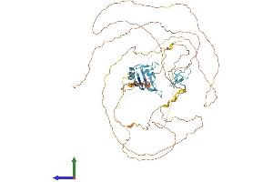 Protein Structure (PS) image for Ewing Sarcoma Breakpoint Region 1 (EWSR1) (AA 1-655) protein (His tag) (ABIN7557716)