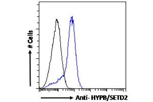 ABIN238587 Flow cytometric analysis of paraformaldehyde fixed HepG2 cells (blue line), permeabilized with 0.
