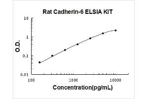 K-Cadherin (CDH6) ELISA Kit