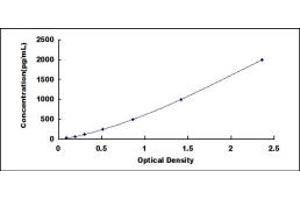 Image no. 1 for Egl-9 Family Hypoxia Inducible Factor 1 (EGLN1) ELISA Kit (ABIN1874438)