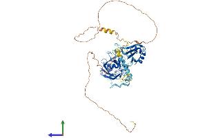 Protein Structure (PS) image for Peptidylprolyl Isomerase (Cyclophilin)-Like 4 (PPIL4) (AA 1-492) protein (His tag) (ABIN7560718)