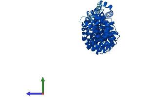 AlphaFold protein structure predicition of Mouse Recombinant Spag6 Protein, UniprotID Q9JLI7 (SPAG6 Protein (AA 1-507) (His tag))