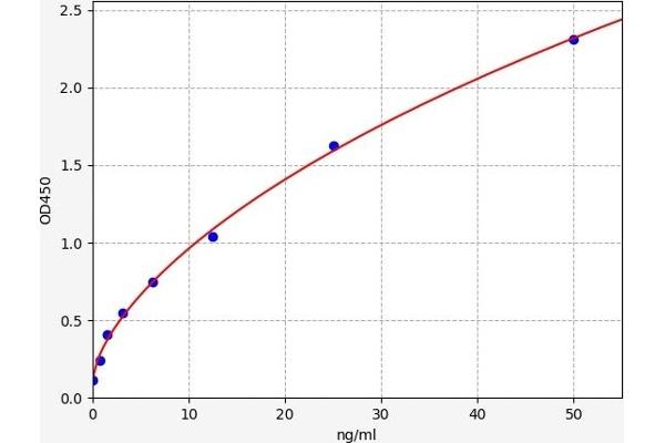 Adiponectin Receptor 2 ELISA 试剂盒