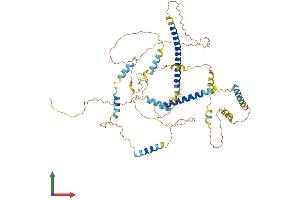AlphaFold protein structure predicition of Human Recombinant FSIP1 Protein, UniprotID Q8NA03