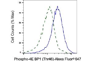 Validation of 4E BP1 knockdown using flow cytometry. (Recombinant eIF4EBP1 抗体  (pThr46))