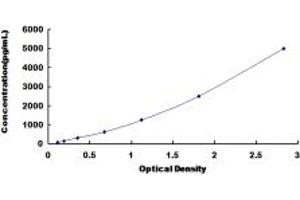 Typical standard curve (L1CAM ELISA 试剂盒)