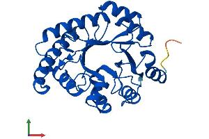 Protein Structure (PS) image for Hydroxypyruvate Isomerase (Putative) (HYI) (AA 1-277) protein (His tag) (ABIN7559666)