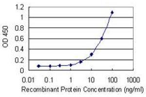 Detection limit for recombinant GST tagged MAF1 is 1 ng/ml as a capture antibody. (MAF1 抗体  (AA 1-256))