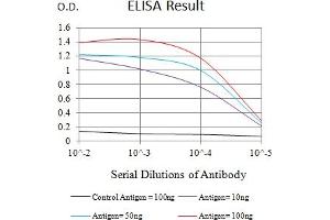 Black line: Control Antigen (100 ng),Purple line: Antigen (10 ng), Blue line: Antigen (50 ng), Red line:Antigen (100 ng) (JAM2 抗体  (AA 29-238))