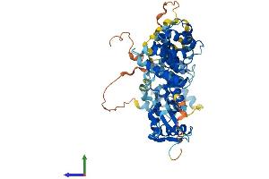 AlphaFold protein structure predicition of Mouse Recombinant Fastk Protein, UniprotID Q9JIX9