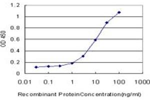 Detection limit for recombinant GST tagged DIABLO is approximately 0. (DIABLO 抗体  (AA 119-218))